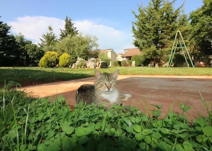 Luna By Interhome Poreč