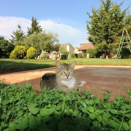 Luna By Interhome Пореч